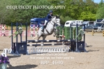 BPP_4690