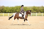 SBM_007991