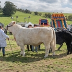 Hodder Show