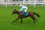 Race 3 2.45pm Fine Details Vehicle Valeting Handicap portfolio