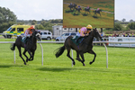080926-Race 3-Battenburg Belle-2285