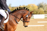 SBM_000715