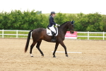 SBM_006365