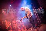 Pigsx7-6