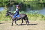 WJ7_3332
