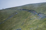 Bannerdale-290