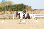 SBM_017464