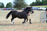 WJ7_8219