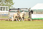 SBM_11055