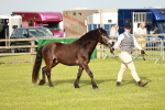 SBM_00389