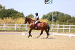 SBM_012262