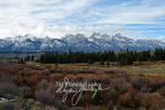 3HPhotography_Grand_Teton_OCT2025_00750