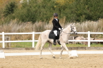 SBM_013161