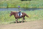 WJ7_3815