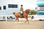 SBM_18491