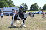 WJ6_8945