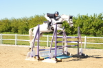 SBM_002004
