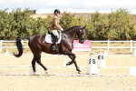 SBM_004236
