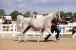 SBM_14376