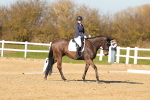 SBM_003589