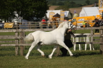 SBM_10341