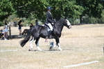WJ7_0931