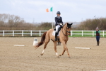 SBM_002437