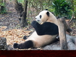 CHINA__0054