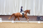 SBM_002049
