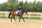 SBM_000604