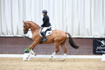 SBM_001022