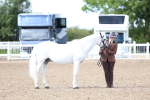 SBM_02444