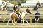 SBM_67667