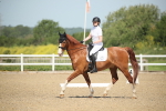 SBM_007976