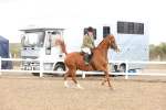 SBM_07530