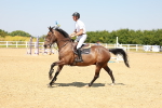 SBM_001202