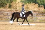 SBM_000181