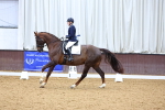 SBM_002442