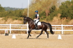 SBM_016612