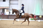 SBM_009133