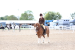 SBM_15835
