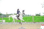 Cls 26 NAF Silver 2nd Jump Off and Pres portfolio
