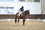 SBM_017228