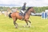 BPP_3449