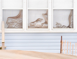 Sand Fences Of Long Point Beach portfolio