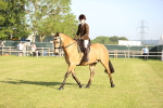 SBM_10688
