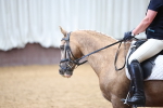 SBM_005690