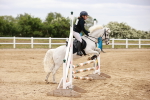 SBM_008588