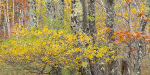 EAST COAST, OCTOBER, 2014 portfolio