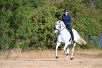 WJ6_6814